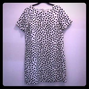 J. Crew Factory  Polka Dot Shift Dress